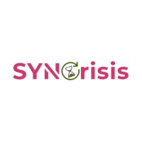Syncrisis logo - Similar company to Spot Properties
