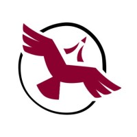 Shared Value Solutions Ltd. logo - Similar company to Firelight