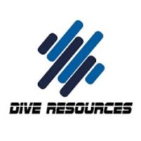 Dive Resources logo - Similar company to Nuvisa