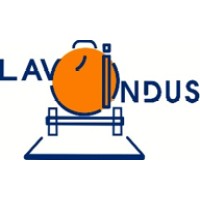 LAV'INDUS logo - Similar company to Navindus Gp