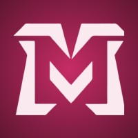 MindTrack logo - Similar company to Efreedomtech Solutions