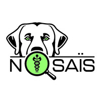 NOSAÏS logo - Similar company to Lekkarod Association