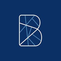 Blueteam - Cyber Security Consulting logo - Similar company to Cyber Baas