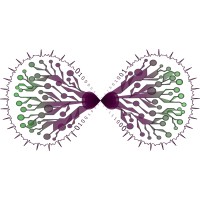 Healthynfinity logo - Similar company to Koppa Chi Chi