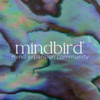 mindbird® logo - Similar company to Jasmin-Chiara Bauer