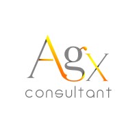AGX Consultant logo - Similar company to El Consultant