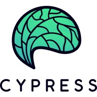 Cypress Consulting logo - Similar company to Aperis