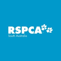 RSPCA South Australia logo - Similar company to Zoos South Australia