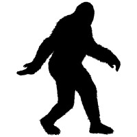 Sasquatch Limited logo - Similar company to Foundational
