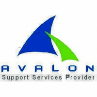 Avalon Services (Pvt) Ltd logo - Similar company to Vize Ways