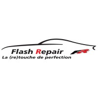 Flash Repair logo - Similar company to Carbeat Chasing Cars
