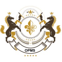 Citizenshipprofessionals logo - Similar company to Acquest Advisors