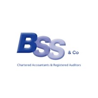 BSS & Co (Accountancy Services) Limited logo - Similar company to Holidays Hub