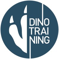 Dino Training logo - Similar company to Qsce