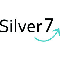 Silver7 Management Consulting GmbH logo - Similar company to Pikoworks It-Solutions