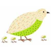 Pistachos La Codorniz logo - Similar company to Pistachos Collado