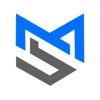 msquare solution logo - Similar company to Vei Technology