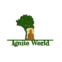 Ignite World LLC logo - Similar company to Cyberlinx Solutions Llc