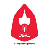 DSRL Global logo - Similar company to Qoptars