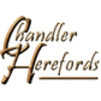 Chandler Herefords Inc logo - Similar company to 316 Design