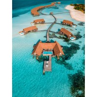 Travelwiththesoulmates logo - Similar company to A Blondes Passport Llc