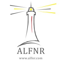 Alfnr logo - Similar company to Webever Technologies