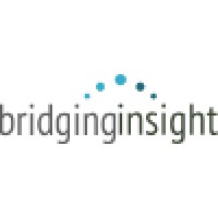 Bridging Insight Ltd logo - Similar company to Spidergap