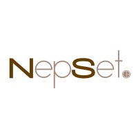 Nepset logo - Similar company to Grupo Bilbao Berria