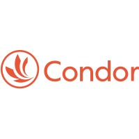 Condor Recruitment logo - Similar company to Kite Search