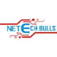 NetechbullsTraininginstitute logo - Similar company to Netdatavault Data Center, Cloud Computing And Soc Services