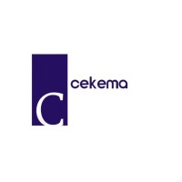 Cekema logo - Similar company to Iled