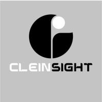 Cleinsight logo - Similar company to Bmqas Security