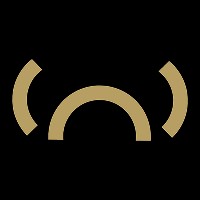 the WHYKINGS GmbH logo - Similar company to The Whykingz