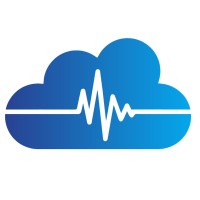 Digital Health Executives logo - Similar company to Vision Executives