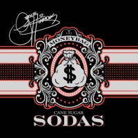 Gene Simmons MoneyBag Sodas logo - Similar company to Leadership Books
