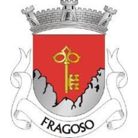 Fragoso Software logo - Similar company to Inv