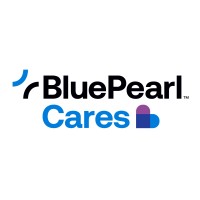 BluePearl Cares logo - Similar company to Boldspark