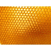 Datahive Limited