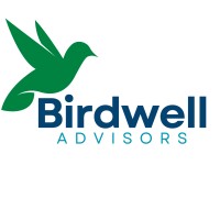 Birdwell Advisors logo - Similar company to Smartnrg Systems
