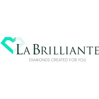LaBrilliante LLC logo - Similar company to Labriltech