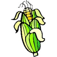 Dni Kukurydzy Skrzelew logo - Similar company to Gerpol
