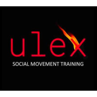 ULEX Project logo - Similar company to Yang.Agency