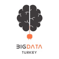 Big Data Turkey logo - Similar company to Rubik Software