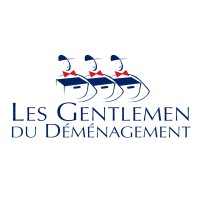 DOLMEN Déménagements logo - Similar company to Upside Studio Agency
