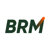 BRM Group logo - Similar company to Silver Tech