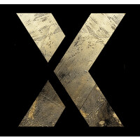 Network X Group logo - Similar company to The Principality