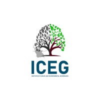 ICEG AFRICA logo - Similar company to World Inspiring Network