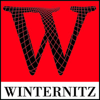 Winternitz Industrial Auctioneers & Appraisers logo - Similar company to Association Of Machinery And Equipment Appraisers