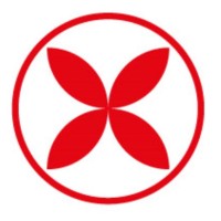 IXORA GLOBAL logo - Similar company to Baryons Tech Solutions