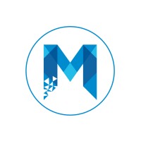 MineDigital logo - Similar company to Attitude Production